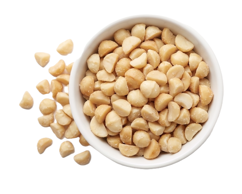 White bowl filled with macadamia nuts on a white background