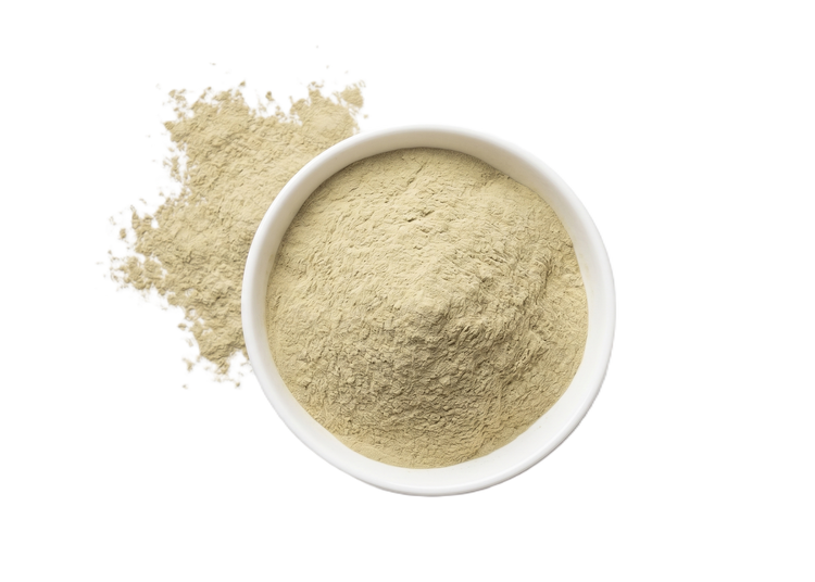 White bowl filled with plant protein powder on a white background